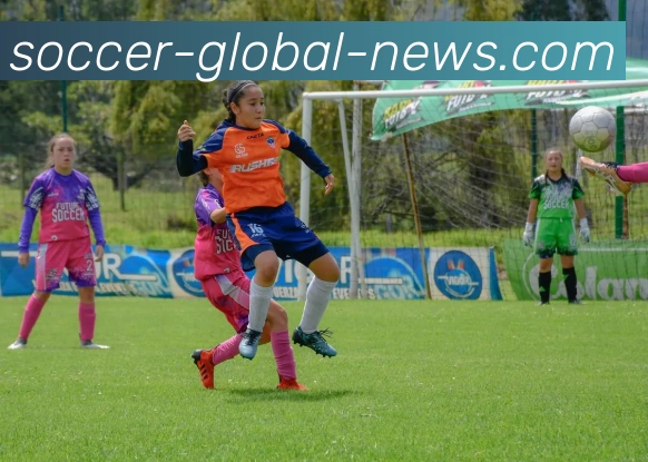 奖项证书